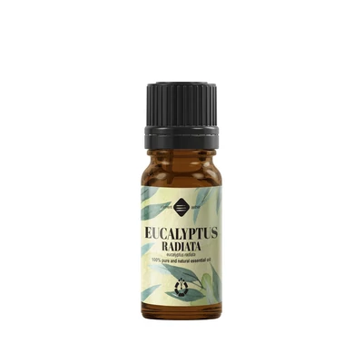 Eukaliptusz Radiata illóolaj, 100% tiszta - 10ml