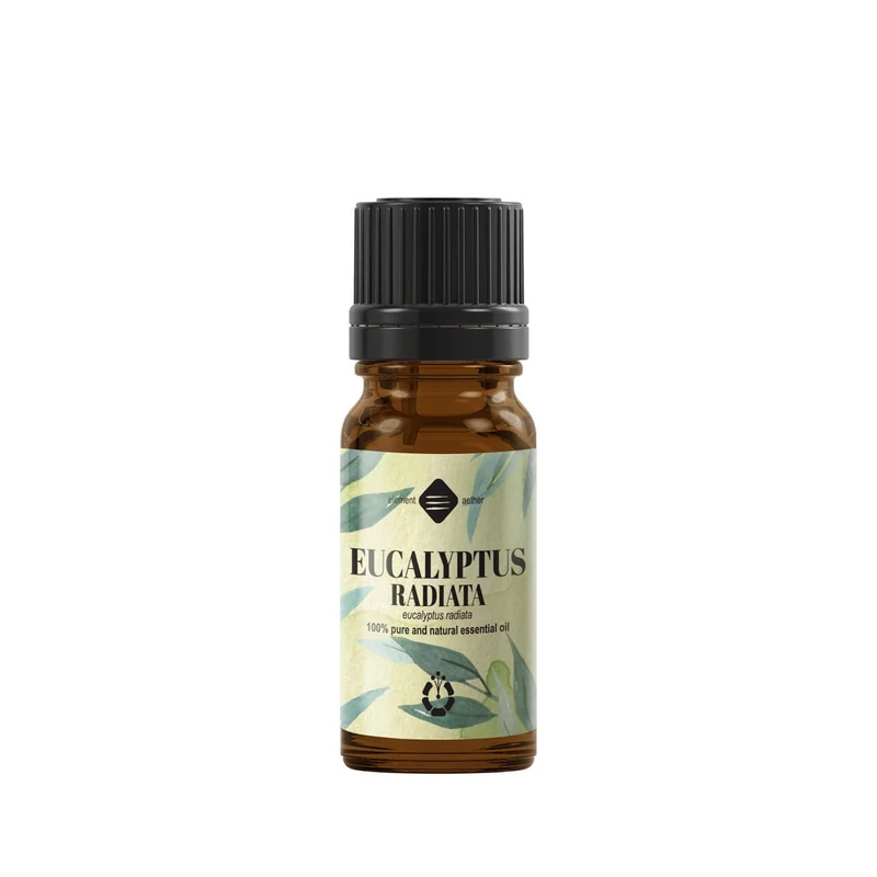 Eukaliptusz Radiata illóolaj, 100% tiszta - 10ml