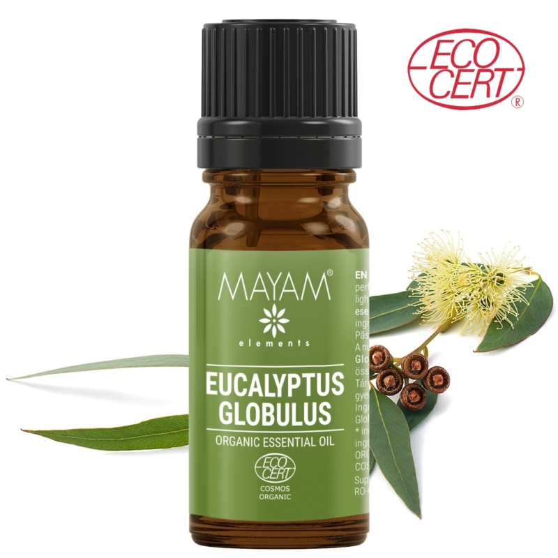 Eukaliptusz bio illóolaj, 100% tiszta - 10ml
